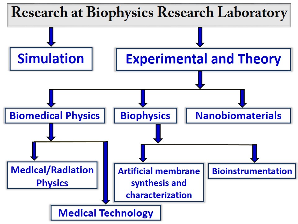 biophysics